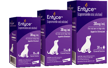 Elanco Entyce Oral Solution for Dogs 30ml, 15ml, 10ml