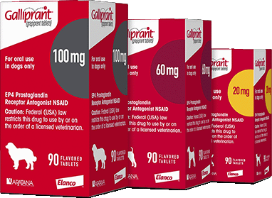 Gallaprant Tablets for Dogs 100, 60, 20 mg